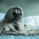 Empower your journey to emotional well-being with EFT